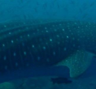 2bb1e51d-2d4e-4b79-8df7-2aac6831cd7f