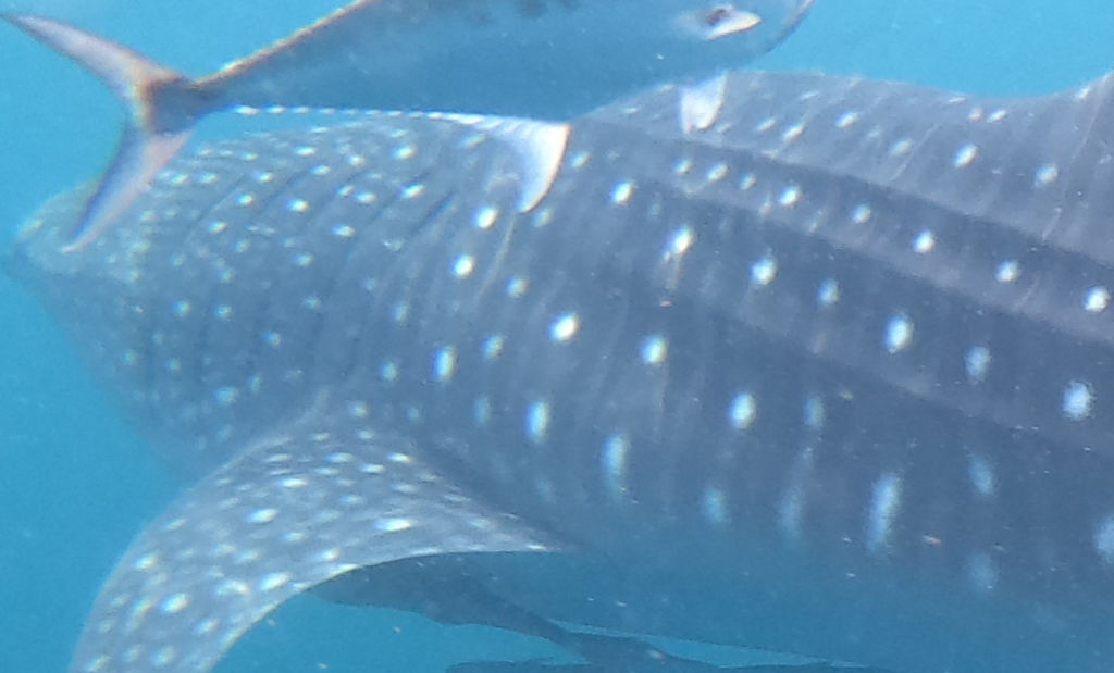 2ab7d5b0-db15-40d4-a016-8213b1d8184f