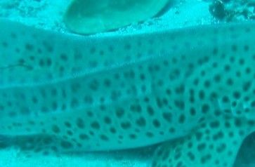 f7a6ac3b-14cb-403b-8139-6f5eb4b43c11