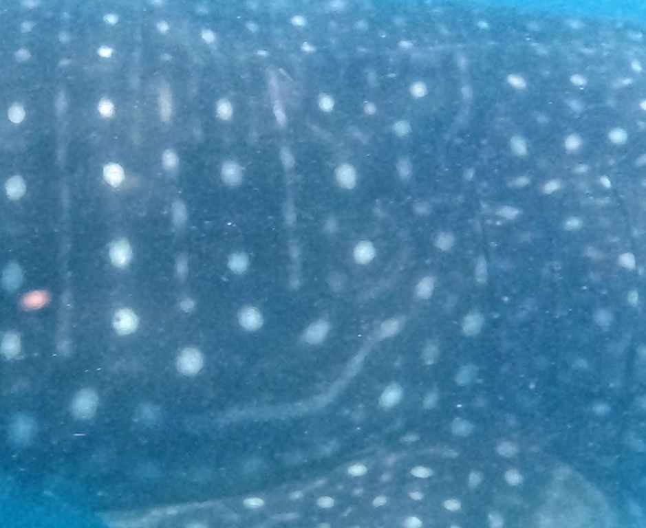 c6b2b270-aeb6-4a75-b764-b86048106848