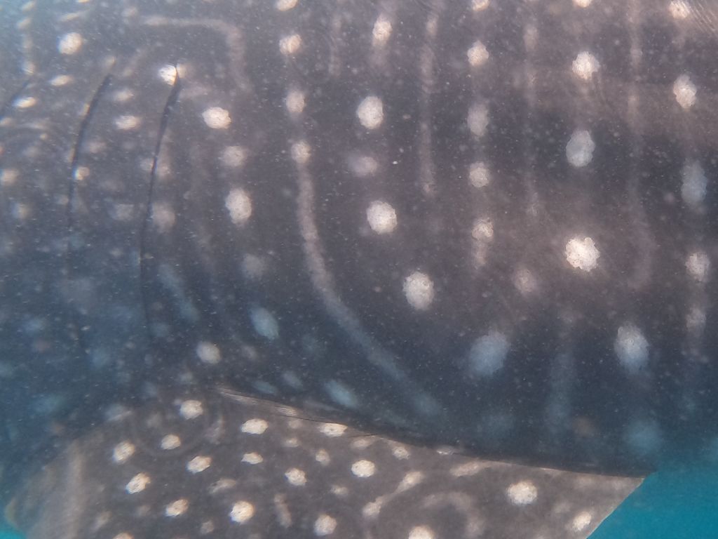 c6b2b270-aeb6-4a75-b764-b86048106848