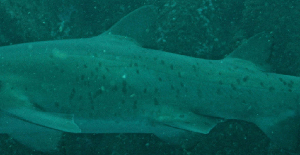 f3aed7fc-9d07-4400-9e26-3acbedce09bc