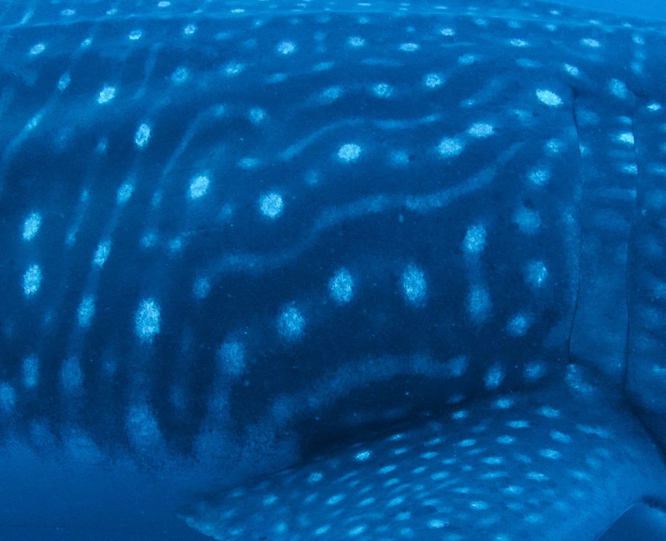 85bdc721-ac8c-4892-a163-b467984616a7