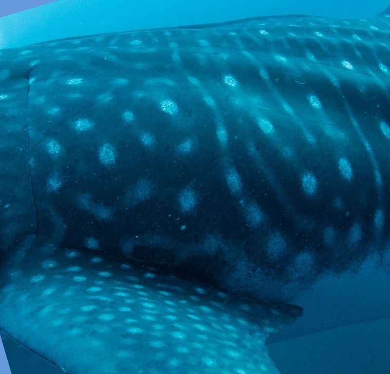 85bdc721-ac8c-4892-a163-b467984616a7