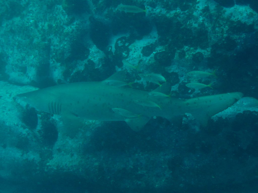 5cf44a17-aa66-45e0-994a-1dfae1c2cb6c