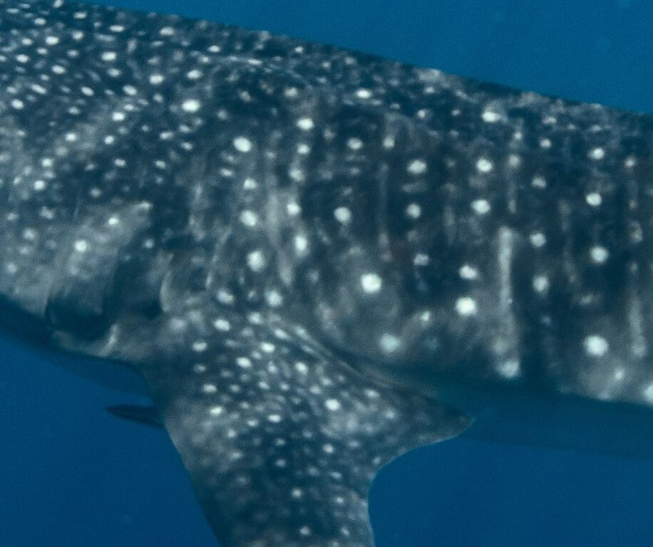 53799ce4-0710-4170-9373-29b72d3834ab