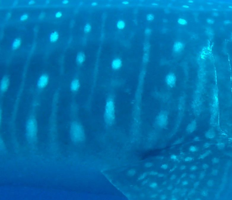 98fe535f-f9b3-4f7a-91fa-2148fc8a105e