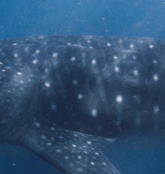 7a0c9c8f-09de-48e4-b0d2-b6c69ae6c927