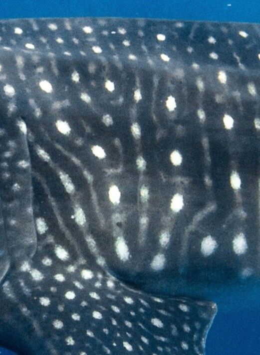 436f4d6f-fd0c-46ed-b400-a031e3a107c9