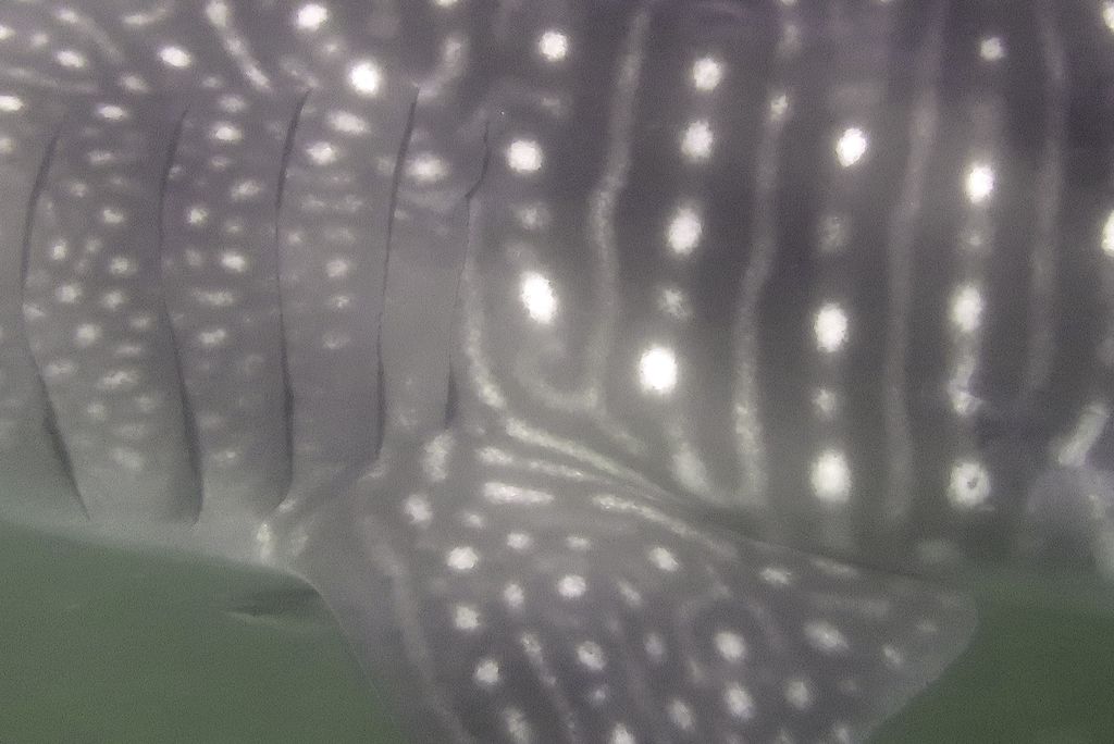 5e799beb-65dc-44e8-8770-8982cb6f9b07