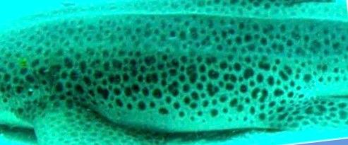 10418616-37dc-4ca5-ba17-5631d6e1a276