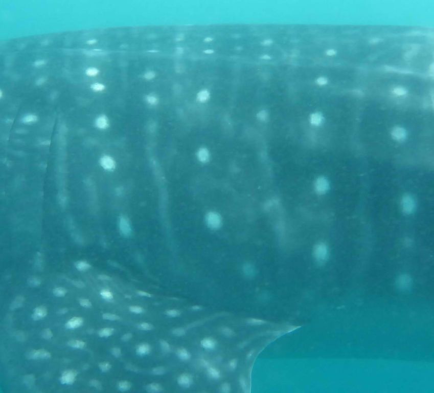 39dc6620-1eb5-4160-acaa-66c5130932a0