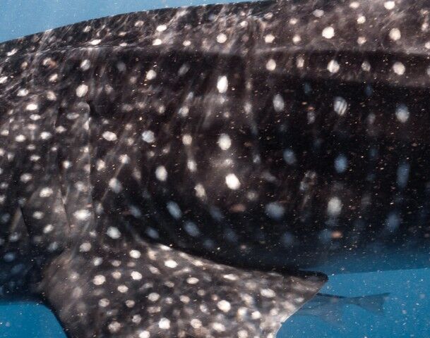 3aacee64-e84f-4e36-919e-f463abc9eaa0