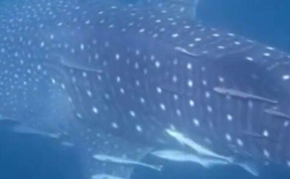 16ce2620-78c1-4d8f-939b-d6b62e3f8f67