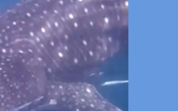 16ce2620-78c1-4d8f-939b-d6b62e3f8f67