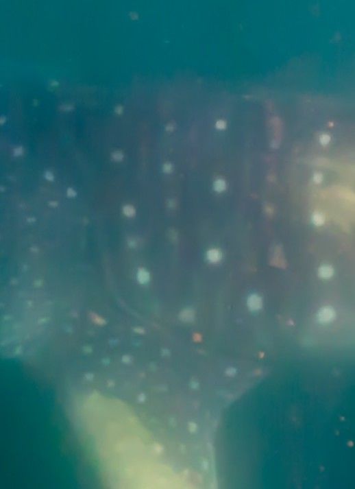 b320d782-e0fe-4da1-91b5-656493410df9