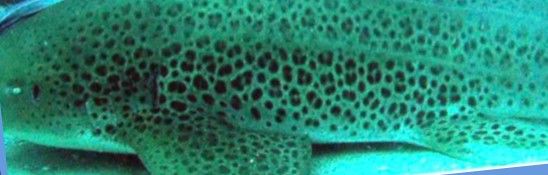 459c9ed8-e2dd-457e-ba8c-2ad09f48ad1d