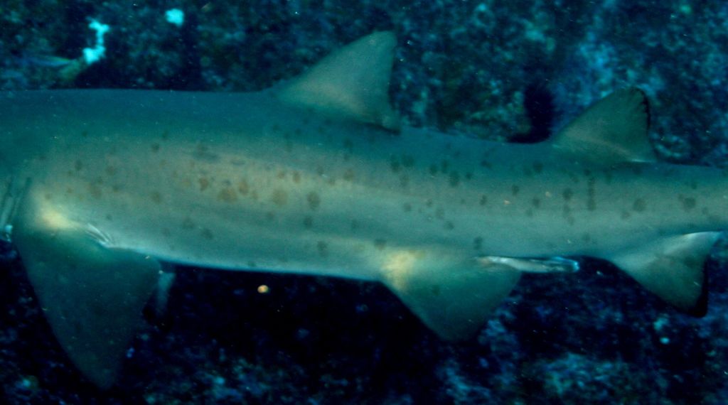 a0ce645e-546e-4fbf-97d5-498ccb4d451e