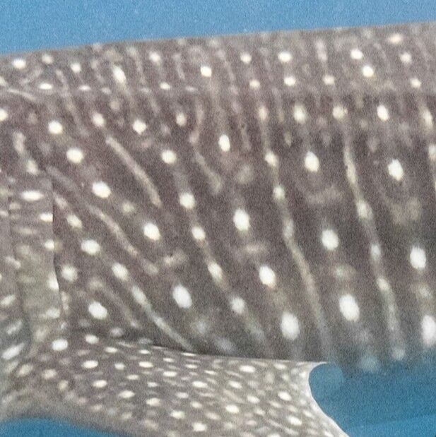 3b8e8505-3f92-40ad-ab43-e1adcd0a2d53