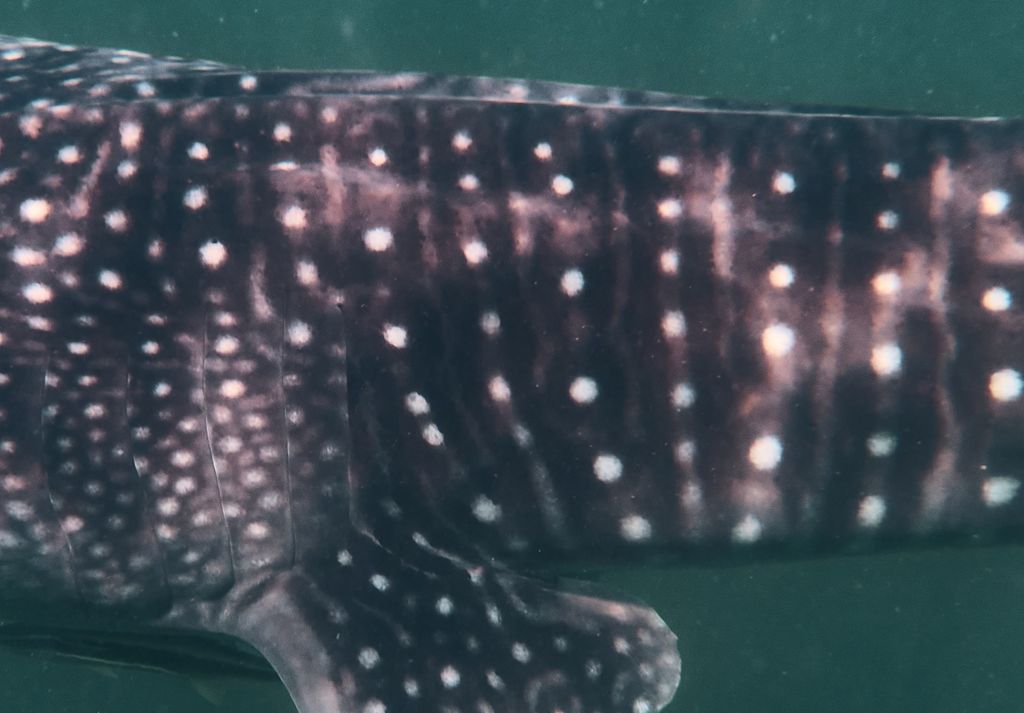 8057bb1b-6665-4ed6-ba0a-5060868c031d