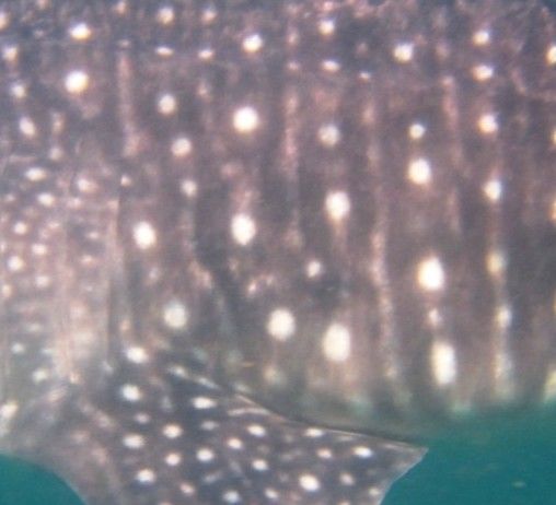 dafe51fe-7eb0-42bd-b245-7baed42988ae