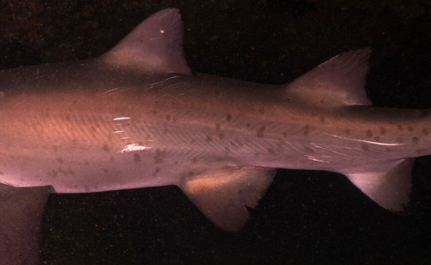 acdf8dd6-1144-4848-bdc6-e4a3c833b675