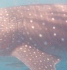 515d0a05-df74-4f85-93a8-4dc17f1d2359