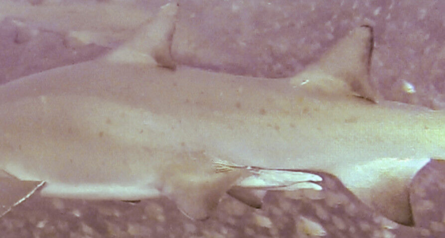 86880601-1b61-4bb7-a0bb-b859ab930a29