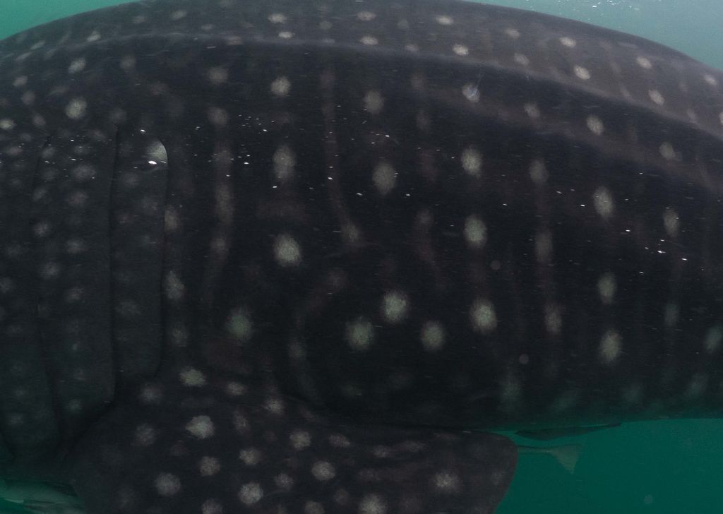 396e1e26-fb16-46ad-ad17-ae3cfad1b0f2