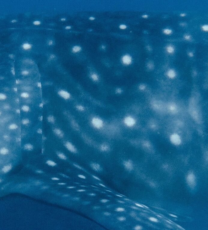 13caca42-3421-46e7-a599-2251be7e220f