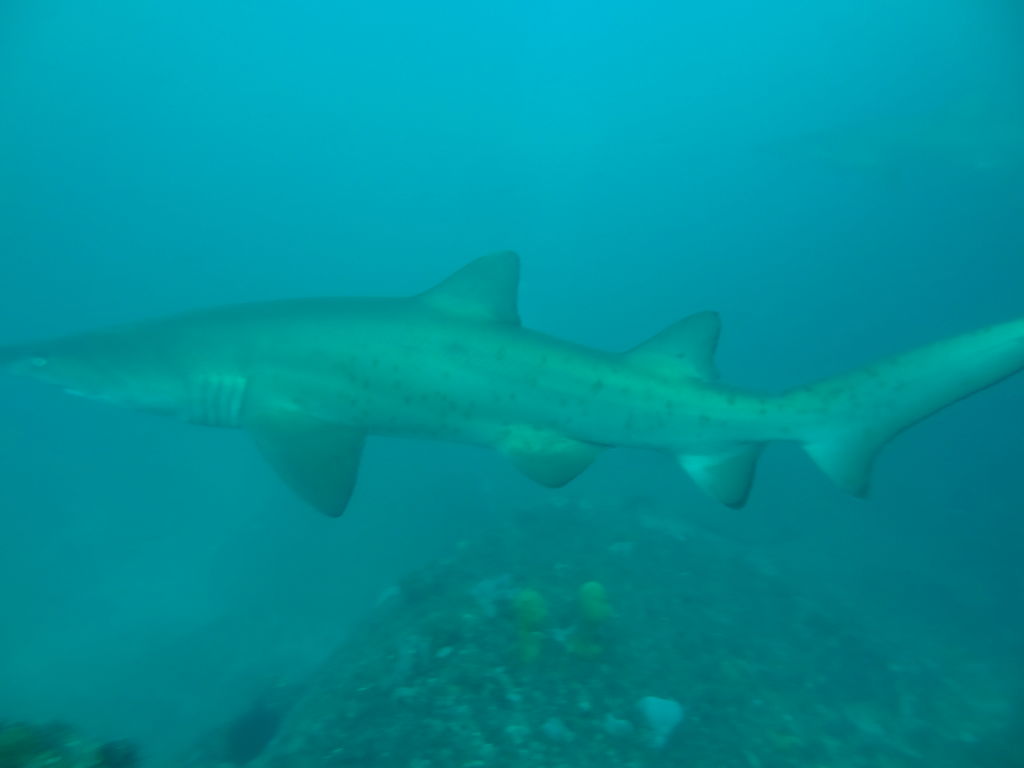 4d570474-2e0d-4e54-9a3a-5e91c545fdbf