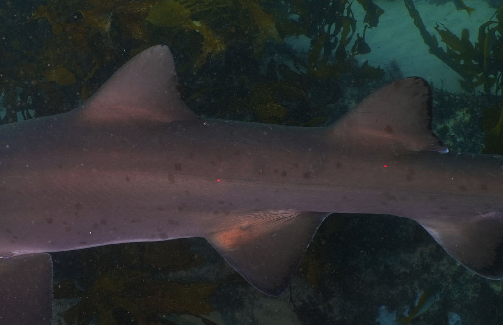 bfdb1ea9-500c-48c3-b1a8-e300236d7229