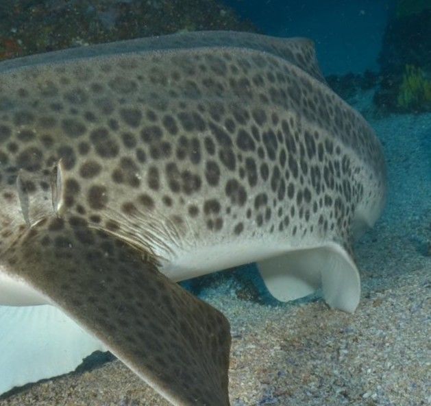 7b71f9dd-4711-4f19-91dc-4370a5770553