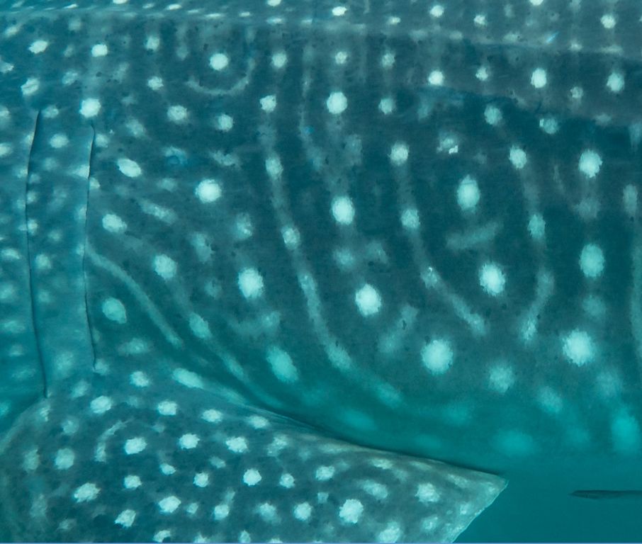 df852c0b-f4ba-431e-ab6b-95c8e63412c5