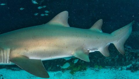 b4f236a3-157e-4e0a-8c6f-ead93eb4b9b0