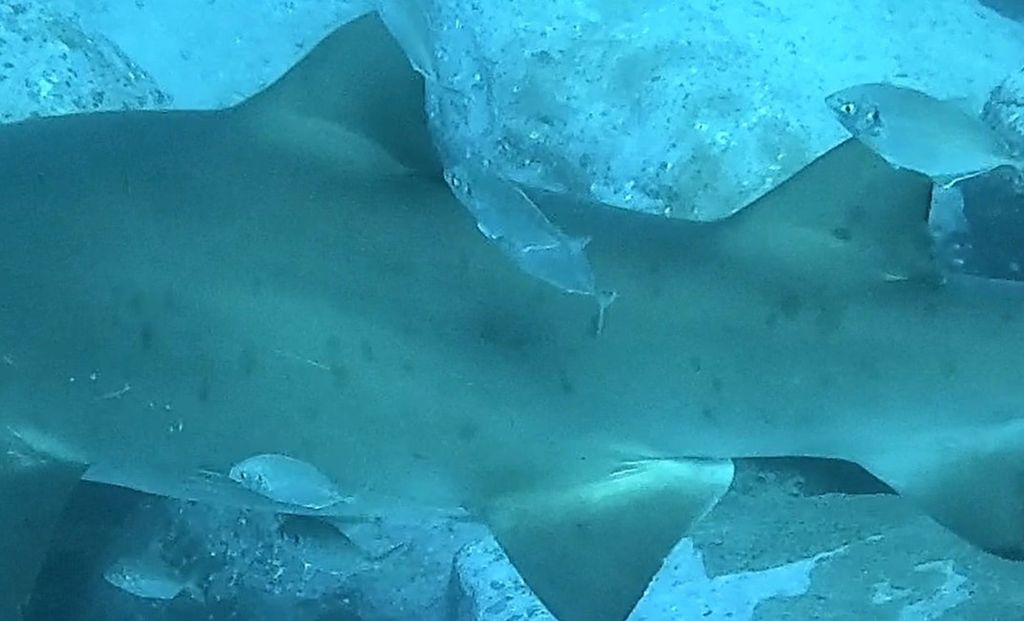 1ef8750a-d0dc-4cb1-9f42-e2041fe2d83e