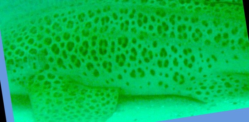 9dec8eb5-e095-4bf3-8ede-78ec1ed58367