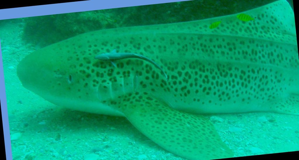 bed14ba9-b52c-4928-96bb-40324b70c563