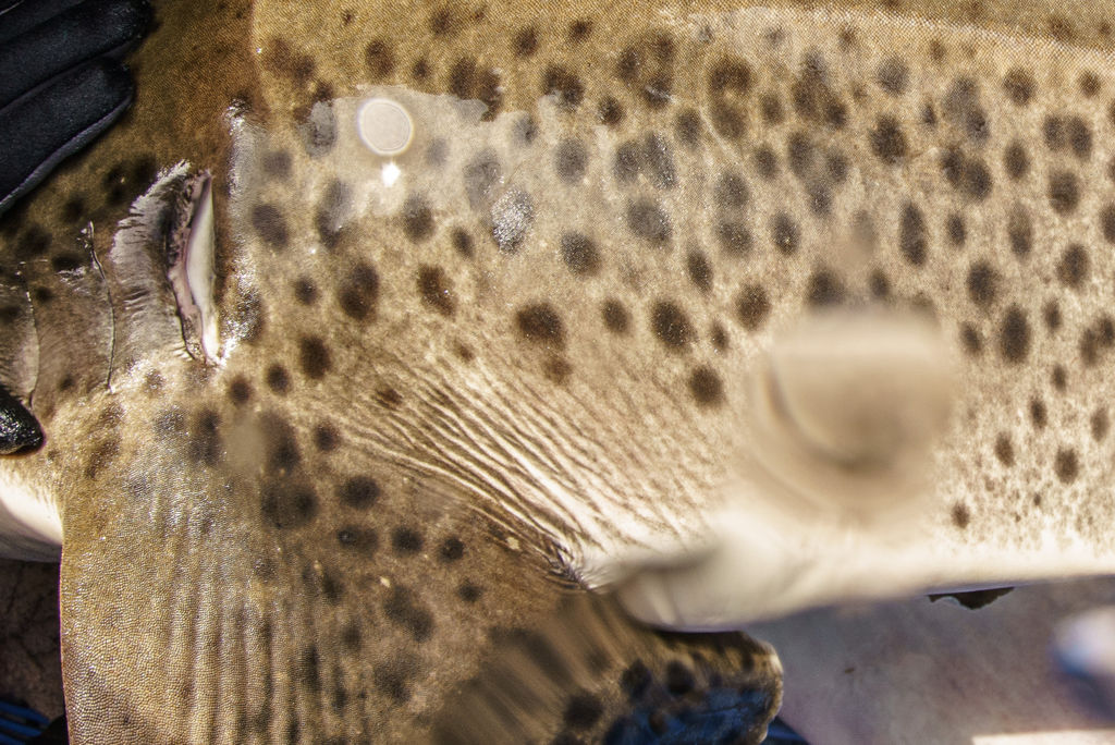 1a8ffb1a-5cd2-4843-a685-dfd56ec8789b