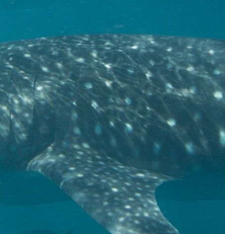 bf561a39-1c27-4021-91d8-9521f2ff6490