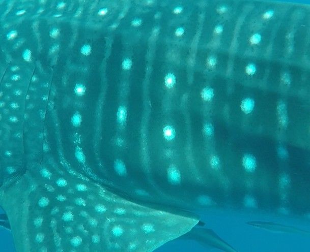 78e95ba4-5767-4577-ac64-7c2605f1b2f7