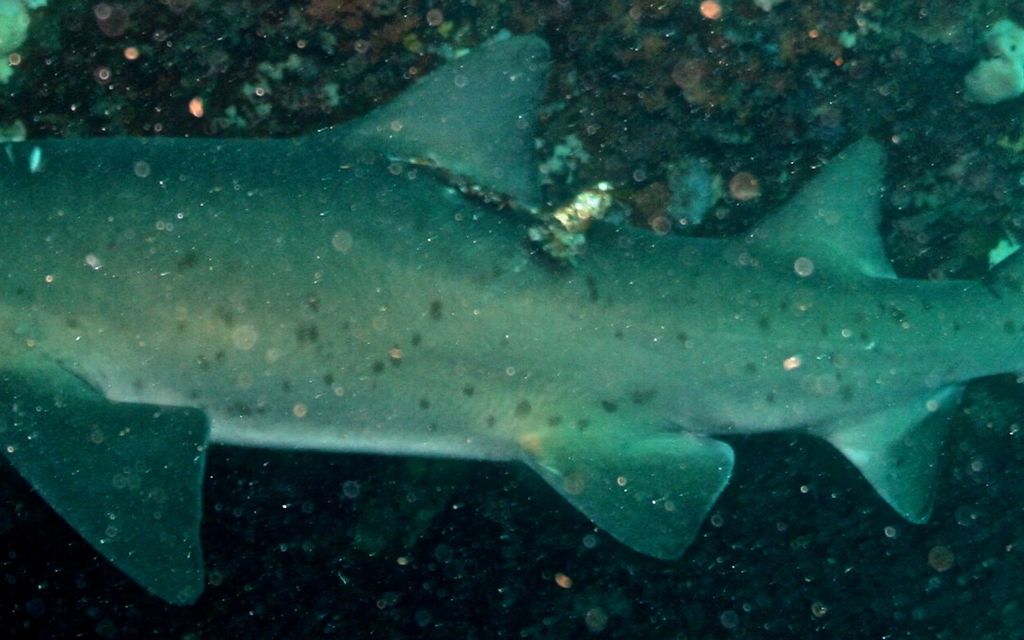 f813d3b3-5452-458a-a80a-e16ab1542cdf