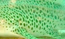 9532a6b1-3f7d-4207-a995-93ef13cccb87