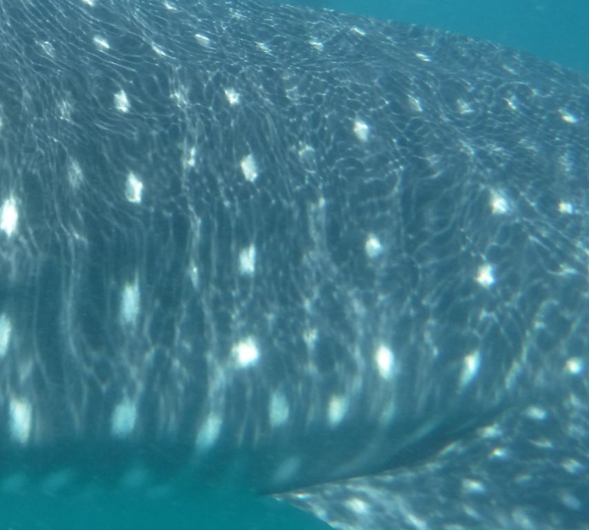 e0d32e37-e81b-4f16-ad0a-2f3a40780321