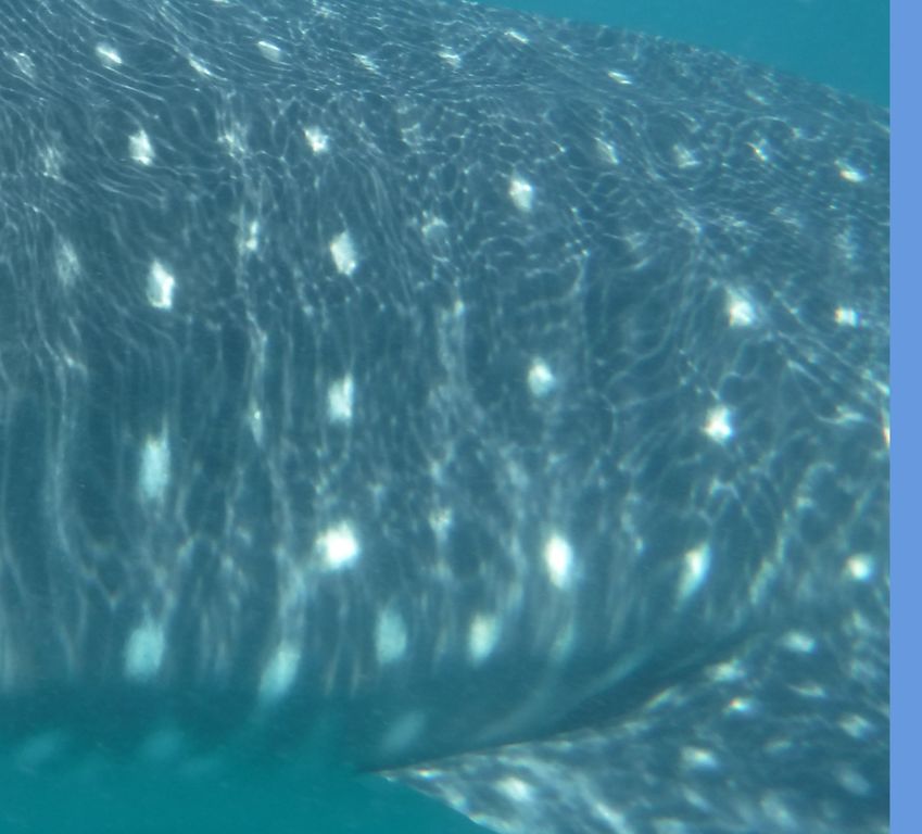 e0d32e37-e81b-4f16-ad0a-2f3a40780321