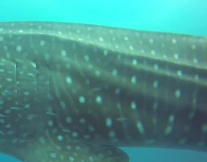 5e5e3d23-6f12-40fd-a95b-2f942e83ae98