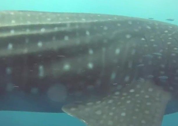 5e5e3d23-6f12-40fd-a95b-2f942e83ae98