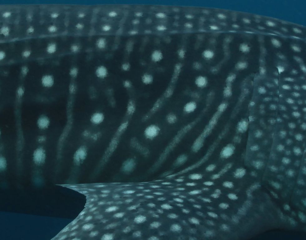 8c930f59-f23b-4f86-aeb9-c84c02867b6c