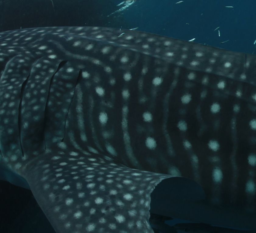 8c930f59-f23b-4f86-aeb9-c84c02867b6c