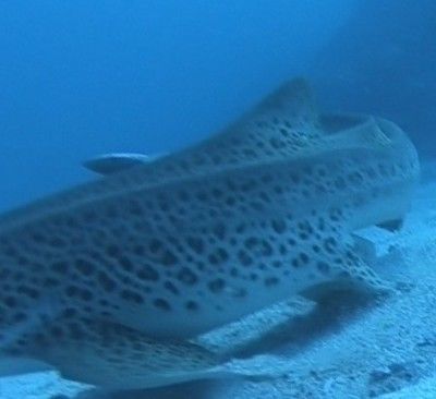 c1b5f719-3e17-4c09-bc87-e79630fc9045